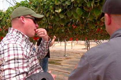 Joel Ferry, Executive Director of the Utah Dept. of Natural Resources, tastes a strawberry grown as an experiment in the Negev Desert on March 28, 2023. (Ben Winslow / FOX 13 News)