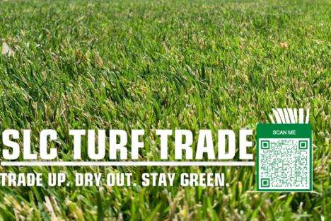 Turf Trade Smallcrop