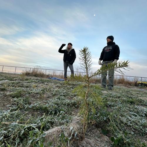 Jaemye Brandon, left, talks about converting an alfalfa farm to a Christmas tree farm near Tremonton. (Ben Winslow, FOX 13 News)