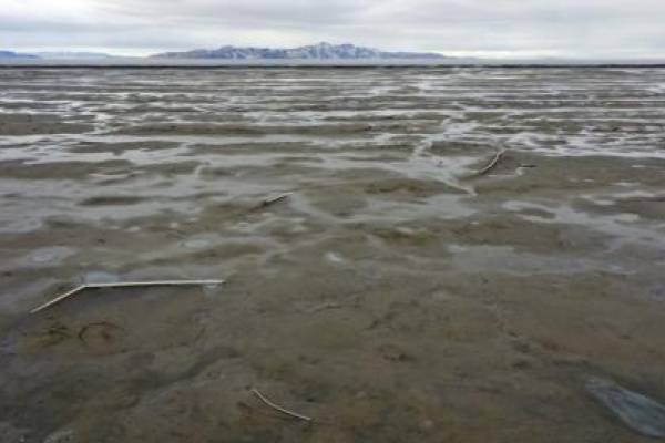 Low water levels are pictured in the Great Salt Lake near Tooele County on Wednesday, Jan. 5, 2022. (Kristin Murphy/Deseret News)