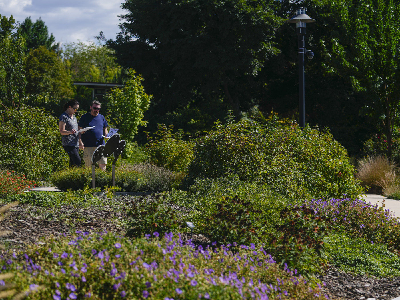 (Bethany Baker | The Salt Lake Tribune) Vicki Thomas, left, and her husband Jerry Thomas study different types of plants as they plan to “flip,” or redesign, their park strip at Conservation Garden Park in West Jordan on Friday, Sept. 15, 2023.