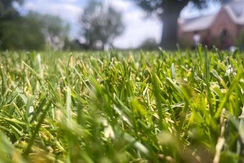 The Utah Water Savers program says lawn irrigation makes up a majority of household water use. That's why the state is looking to encourage Utahns to swap out thirsty grass for more waterwise landscaping. Tilda Wilson/KUER
