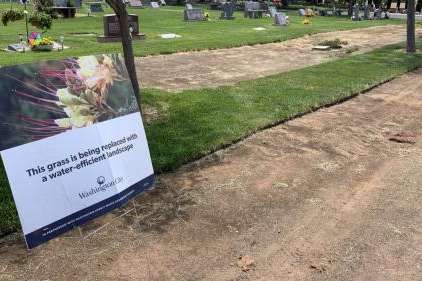 Outside the Washington City Cemetery and a nearby athletic field, city crews are removing turf.