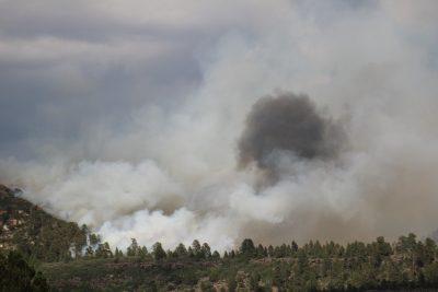 This fire photo shows wildfire burns near Kolob Terrace Road, Washington County, Utah, July 20, 2022 | Photo courtesy of Joshua Pettit, St. George News