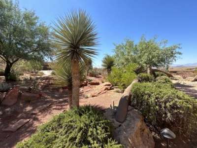 Water-efficient desert landscaping at the St. George home of Molly Graf, one of the stops on the future Parade of Gardens Southern Utah tour scheduled for September, St. George, Utah, June 25, 2024 | Photo by Mori Kessler, St. George News