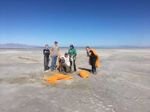 Volunteers with Friends of Great Salt Lake clean up the southern shore of the Great Salt Lake Sept. 16, 2023, as part of International Coastal Cleanup. (Courtesy: Friends of GSL)