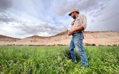 Andy Rice holds one of the nozzles on a center pivot irrigation system his ranch was able to install thanks to state money, Aug. 21, 2024. Utah’s Agricultural Water Optimization Program has put millions of dollars into helping farmers and ranchers modernize their irrigation systems since 2019. Credit: David Condos, KUER