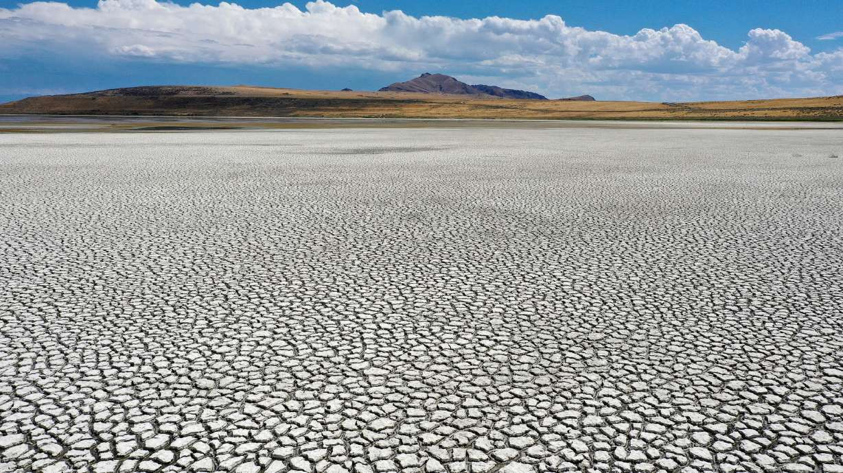 New research out of the University of Utah finds sediments in the Great Salt Lake's exposed playa are potentially more harmful than other major dust sources impacting air quality across the Wasatch Front. New research out of the University of Utah finds sediments in the Great Salt Lake's exposed playa are potentially more harmful than other major dust sources impacting air quality across the Wasatch Front. (Kristin Murphy, Deseret News) 