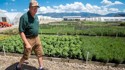 Preston Cox, co-founder of Perennial Favorites in Layton, provides a tour of the business's nursery on Aug. 20. The company now specializes in growing more water-wise plants for consumers across the region. Preston Cox, co-founder of Perennial Favorites in Layton, provides a tour of the business's nursery on Aug. 20. The company now specializes in growing more water-wise plants for consumers across the region. (Carter Williams, KSL.com)