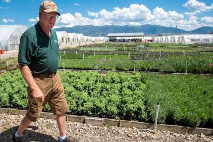 Preston Cox, co-founder of Perennial Favorites in Layton, provides a tour of the business's nursery on Aug. 20. The company now specializes in growing more water-wise plants for consumers across the region. Preston Cox, co-founder of Perennial Favorites in Layton, provides a tour of the business's nursery on Aug. 20. The company now specializes in growing more water-wise plants for consumers across the region. (Carter Williams, KSL.com)