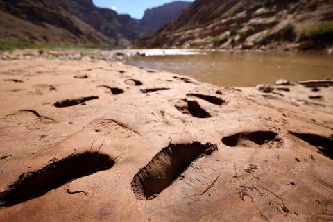 Footprints where people have sunk into mud are pictured above Gypsum Canyon rapid in Cataract Canyon on the banks of the Colorado River on Friday, Sept. 20, 2024. Kristin Murphy, Deseret News