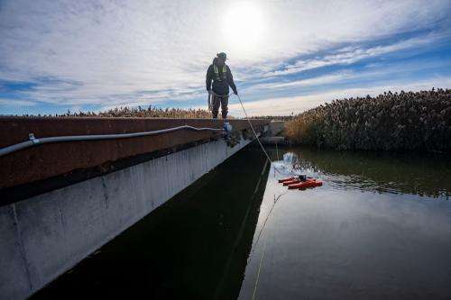 (Rick Egan | The Salt Lake Tribune) Noah Lebsack pulls a streamgage monitor in the North Fork of the Weber River, to help understand streamflow, lake temperature, on Monday, Nov 25, 2024.