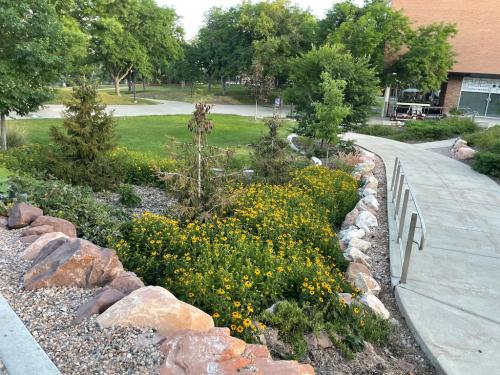 (Ali McKelvy | University of Utah) Flowers and small trees in a cluster of rocks help limit the amount of water needed in the lower campus at the University of Utah, part of a campus-wide effort to reduce water use.