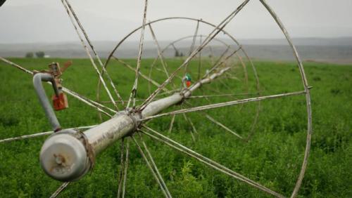 Utah farms commonly use wheel line irrigation systems, like the one seen here in Wayne County, Aug. 22, 2024. Making these sprinklers more water-efficient may help farms produce more crops but that doesn’t mean it would save more water for the Colorado River. (David Condos/KUER)