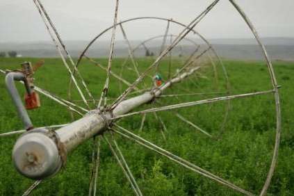 Utah farms commonly use wheel line irrigation systems, like the one seen here in Wayne County, Aug. 22, 2024. Making these sprinklers more water-efficient may help farms produce more crops but that doesn’t mean it would save more water for the Colorado River. (David Condos/KUER)