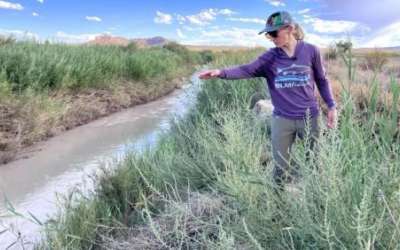 Ecologist Cassie Mellon motions toward the San Rafael River in Emery County, Utah, Aug. 20, 2024. Like many Colorado River tributaries, the San Rafael’s flow patterns have been dramatically altered by upstream dams and diversions. (David Condos/KUER)