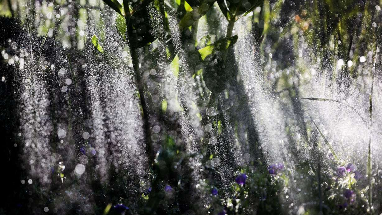 Utah water managers say most Utahns don't need to water their lawns until mid-May, at the earliest, following another good winter for most parts of the state. (Laura Seitz/Deseret News)