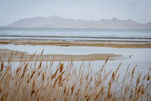 Wastewater reuse hasn’t caught on much in Utah because of concerns over how it could impact the Great Salt Lake, seen here March 29, 2025. Still, researchers warn that Utah is missing a big opportunity to stretch its limited water supply. (David Condos, KUER)