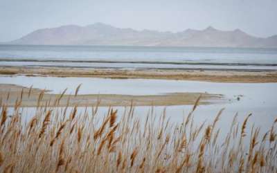 Wastewater reuse hasn’t caught on much in Utah because of concerns over how it could impact the Great Salt Lake, seen here March 29, 2025. Still, researchers warn that Utah is missing a big opportunity to stretch its limited water supply. (David Condos, KUER)