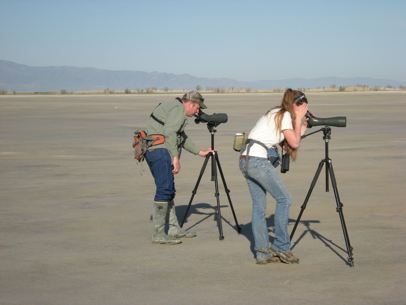 Weber State University Professor John Cavitt and a student look for Snowy Plovers during a survey in 2008. (Weber State University)