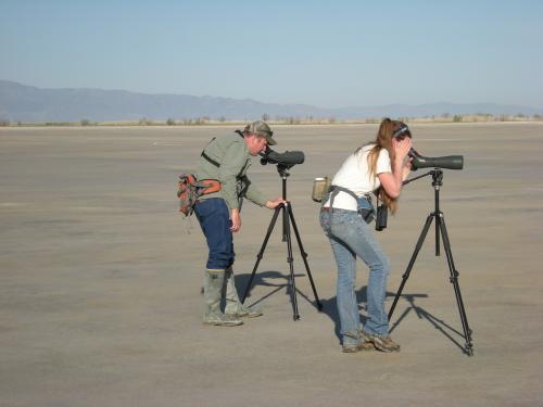 Weber State University Professor John Cavitt and a student look for Snowy Plovers during a survey in 2008. (Weber State University)