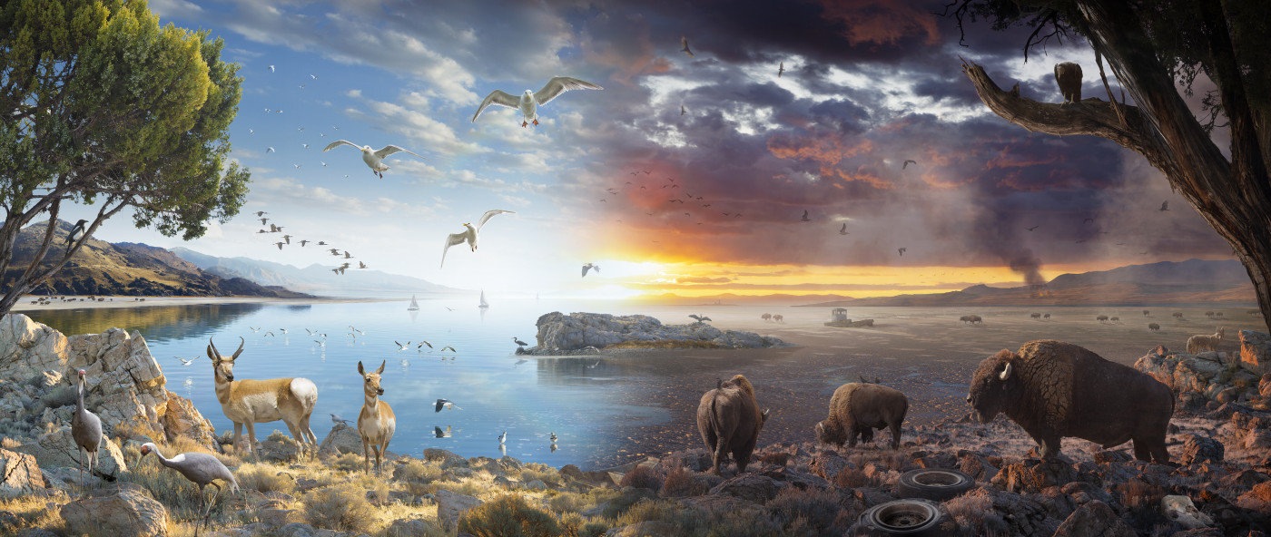 Artist Nick Pedersen’s design represents two distinctly different futures for Great Salt Lake. (Nick Pedersen)