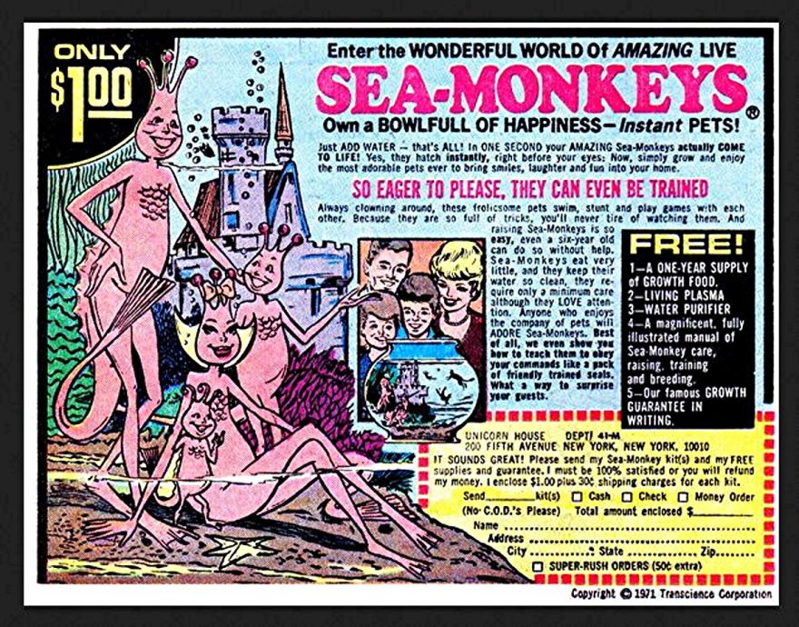 sea monkeys