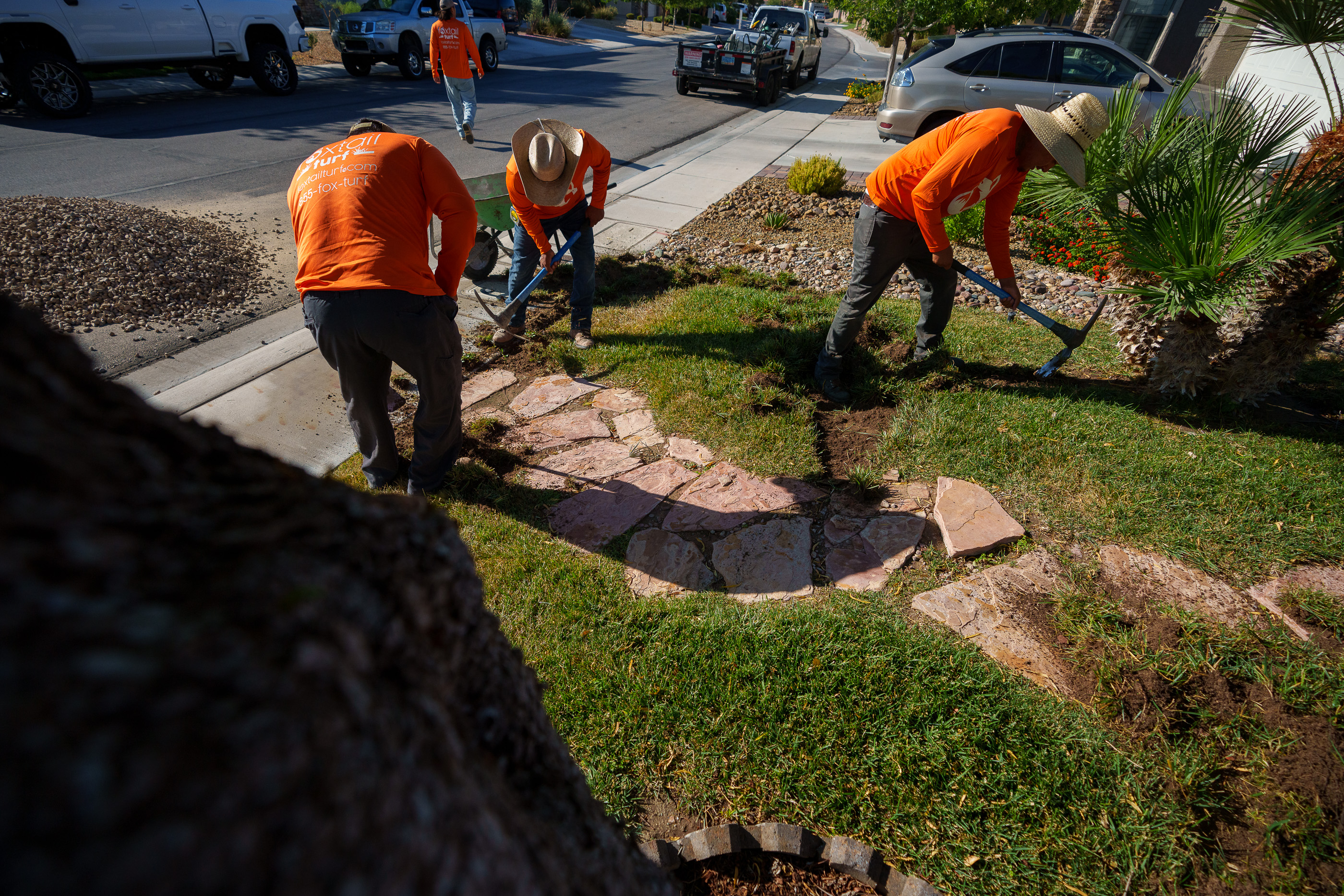 (Trent Nelson  |  The Salt Lake Tribune) Workers with Foxtail Turf remove the grass from Patricia Council's North Las Vegas yard, replacing it with artificial turf on Thursday, Sept. 29, 2022.